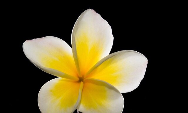 Kiedy na Cebu? Kiedy na Cebu?