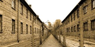 Ile kosztuje wejście do Auschwitz?