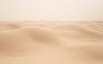 Czego nie można wwozić do Tunezji? Czego nie można wwozić do Tunezji?