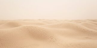 Czy w Tunezji jest pustynia?