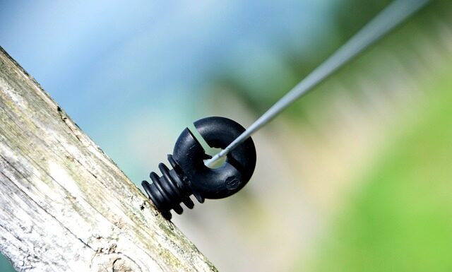 Gdzie jest najwięcej Polaków w USA? Gdzie jest najwięcej Polaków w USA?