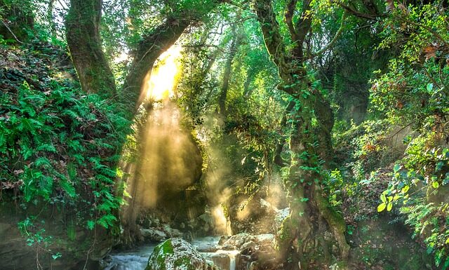 Kiedy jest pora deszczowa w Tunezji? Kiedy jest pora deszczowa w Tunezji?