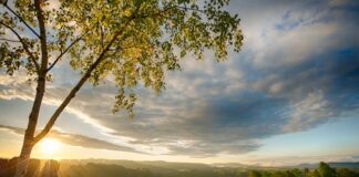 Dlaczego wycieczka do Szwajcarii Saksońskiej to idealny pomysł na weekend blisko natury? Szwajcaria Saksońska