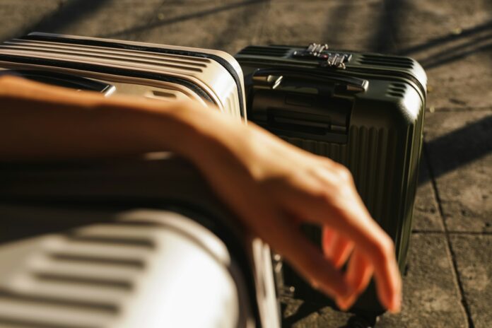 Jak zaplanować wyjazd do pracy sezonowej w Holandii? Transport i formalności